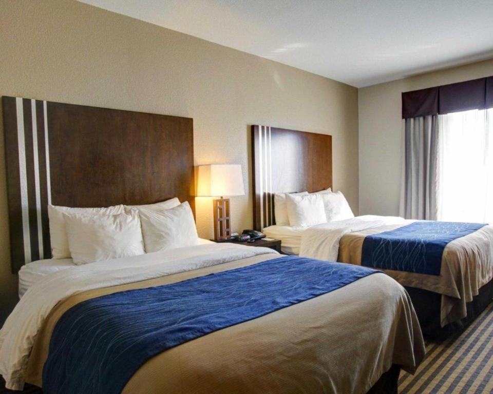 Comfort Inn & Suites Navasota Exteriör bild