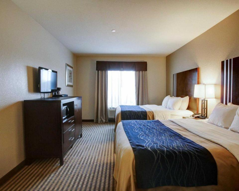 Comfort Inn & Suites Navasota Exteriör bild