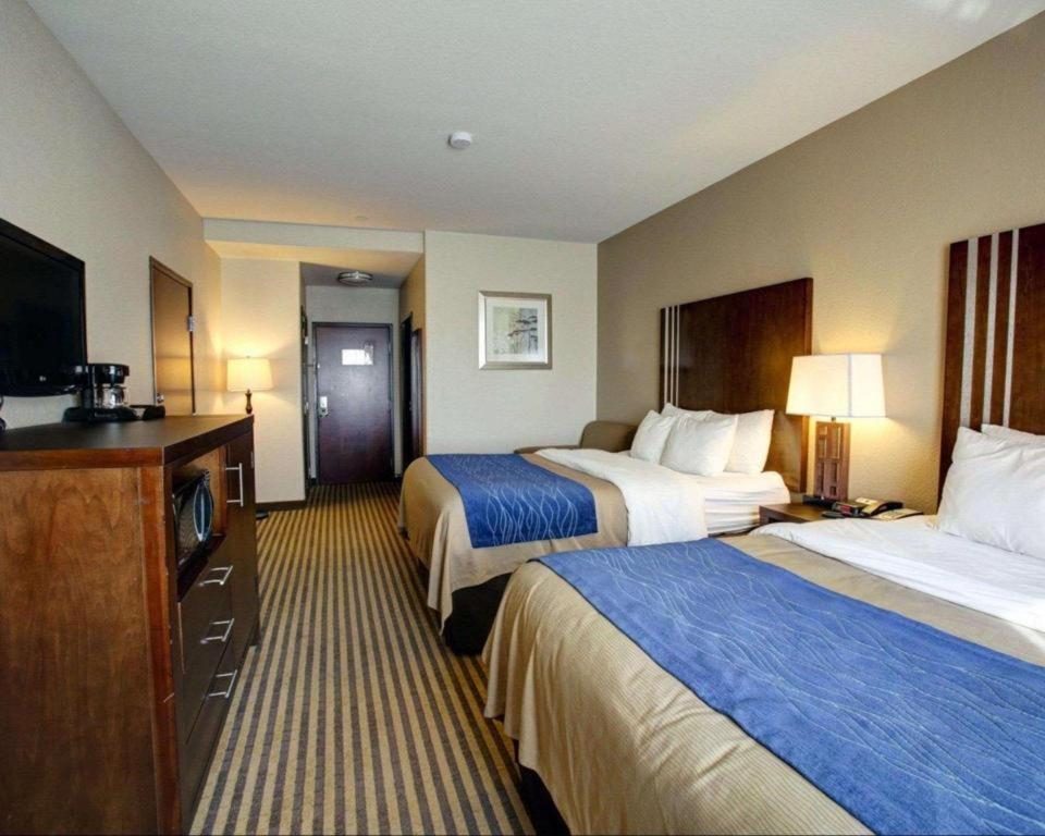 Comfort Inn & Suites Navasota Exteriör bild