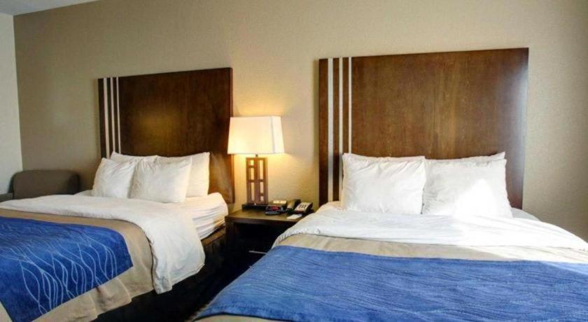 Comfort Inn & Suites Navasota Exteriör bild